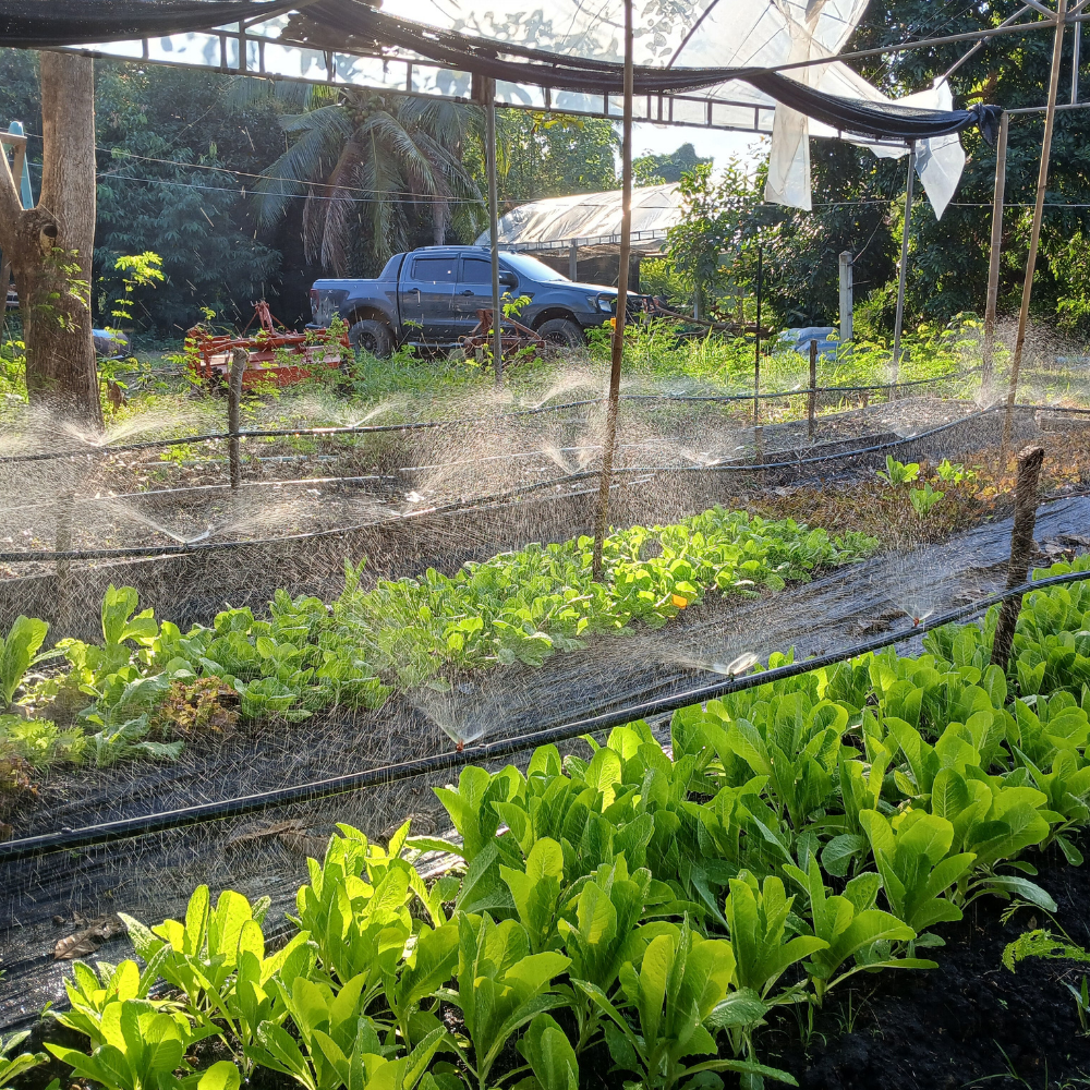 Garden Structures & Germination Equipment