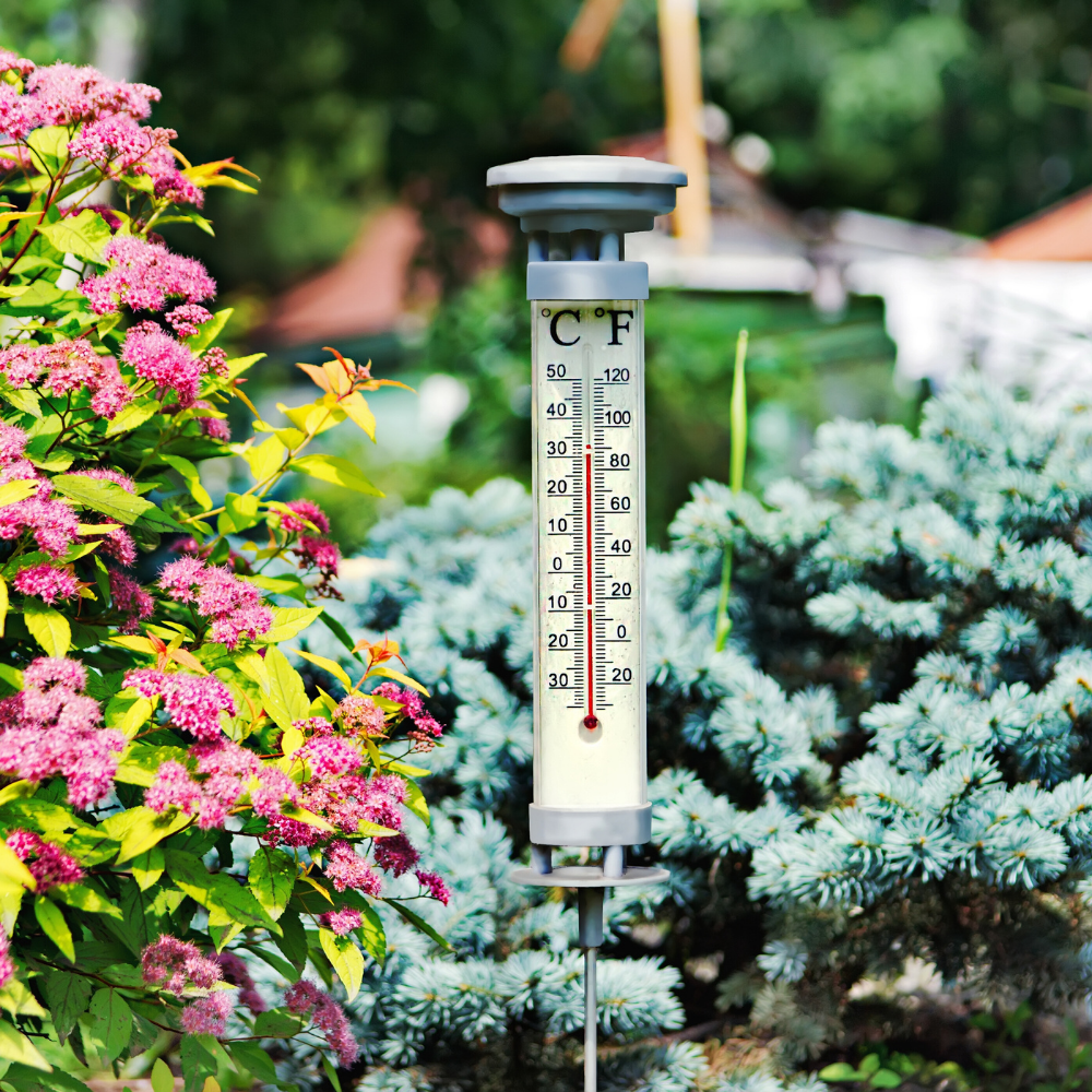 Thermometers