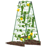 7Queen A-Frame cucumber trellis assembly supports climbing plants for neat vertical growth.