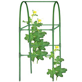 7Queen cucumber trellis assembly supports vertical growth for cucumbers and beans.