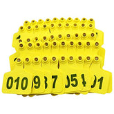 Abustle pig cattle ear tag 001-100 on a cow for herd identification.