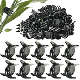 AccEncyc large plant clips securely support orchid spikes for upright growth.
