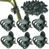 AccEncyc plant clips 2x15mm closeup securing small stems for upright growth