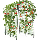 ActiveTrail Garden Arch Trellis side view showing sturdy stainless frame for year-round climbers