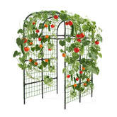 ActiveTrail metal garden arch trellis 7-3ft supports tall climbing plants vertically