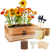 Adawook flower growing kit, sunflower seeds, ideal for beginners starting an indoor garden.