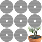Adnee round plant grid guarding a pot from pets, ideal for indoor use.