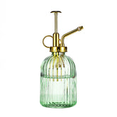 Aebor glass plant mister with green bottle and gold top for gentle indoor watering.