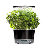 AeroGarden Harvest Elite 360 on countertop enabling year-round fresh herbs