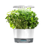 AeroGarden Harvest Elite 360 indoor garden on countertop supports year-round herbs.