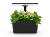 AeroGarden Harvest Lite black front view showing compact year-round herb garden