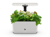 AeroGarden Harvest Lite cream exterior on a kitchen counter showing compact elegance and year‑round herbs