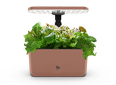 AeroGarden Harvest Lite Mocha color on a kitchen counter enabling year-round fresh herbs