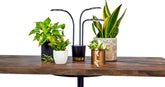 AeroGarden Trio Grow Light with three arms lighting multiple plants clearly