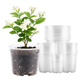 AFHGGZXZ seed starter pot 2.5-inch top view for easy seed germination