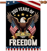 AIBOLYNE 250 Years eagle-flag-banner for outdoor patriotic display.