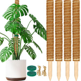 ALENEY moss pole four-pack stackable setup supports upward growth for Monstera