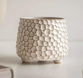 Alikexin rustic 4-inch pot no drainage hole, ideal for decorative succulent displays.