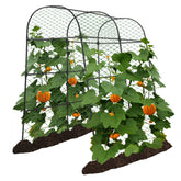 AlisisFores garden arch trellis front view supports vertical vegetable growth.