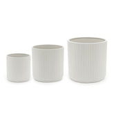 Amazon Basics 6-inch fluted ceramic planter close-up in white, modern design.