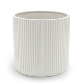 Amazon Basics fluted ceramic round planter with drainage hole, 8-inch white, ideal for indoor plants