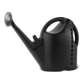 Amazon Basics watering can with wide-nozzle for gentle, even watering.