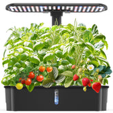 Ambgrow hydroponics system setup demonstrates a compact indoor garden ready for use