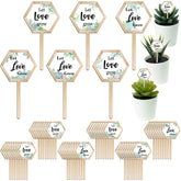 Amyhill Let Love Grow hexagon succulent tags on wooden stakes for wedding decor and plant labeling.
