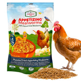 Amzey dried mealworms 2lb bag for chickens and birds; convenient resealable packaging.