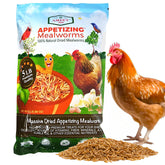 Amzey dried mealworms 5lb bulk pack for poultry feeding and healthy growth.