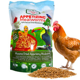 Amzey dried mealworms in a sealed bag, high-protein poultry treat.