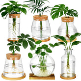 Anboliwb propagation station glass jar with wooden lid on bamboo stand for desk hydroponics