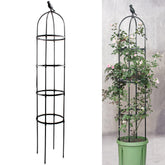 Anothera 6ft garden obelisk trellis, easy assembly for vertical gardening.