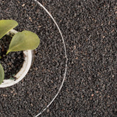 Anothera black lava rock 18lb pack for plant top dressing and decor