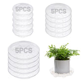ANPHSIN 6-inch clear plant saucer with feet for floor protection and tidy watering.