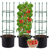 ANPHSIN tomato cages assembly showing sturdy vertical support for climbing plants.