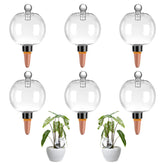 Ansberta 6-pack watering globes in packaging, ready for convenient self-watering setups.