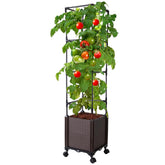Antmoilios raised garden bed with trellis supporting vertical tomato growth.