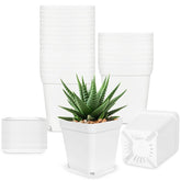 Anyumocz 24-pack square pots top view, ideal for starting seedlings