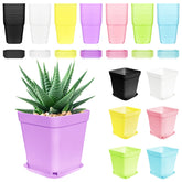 Anyumocz colorful plastic plant pot 3-inch, ideal for small succulents and herbs.
