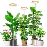 Aokrean grow light with wood-grain ring for durable indoor use and stylish decor.