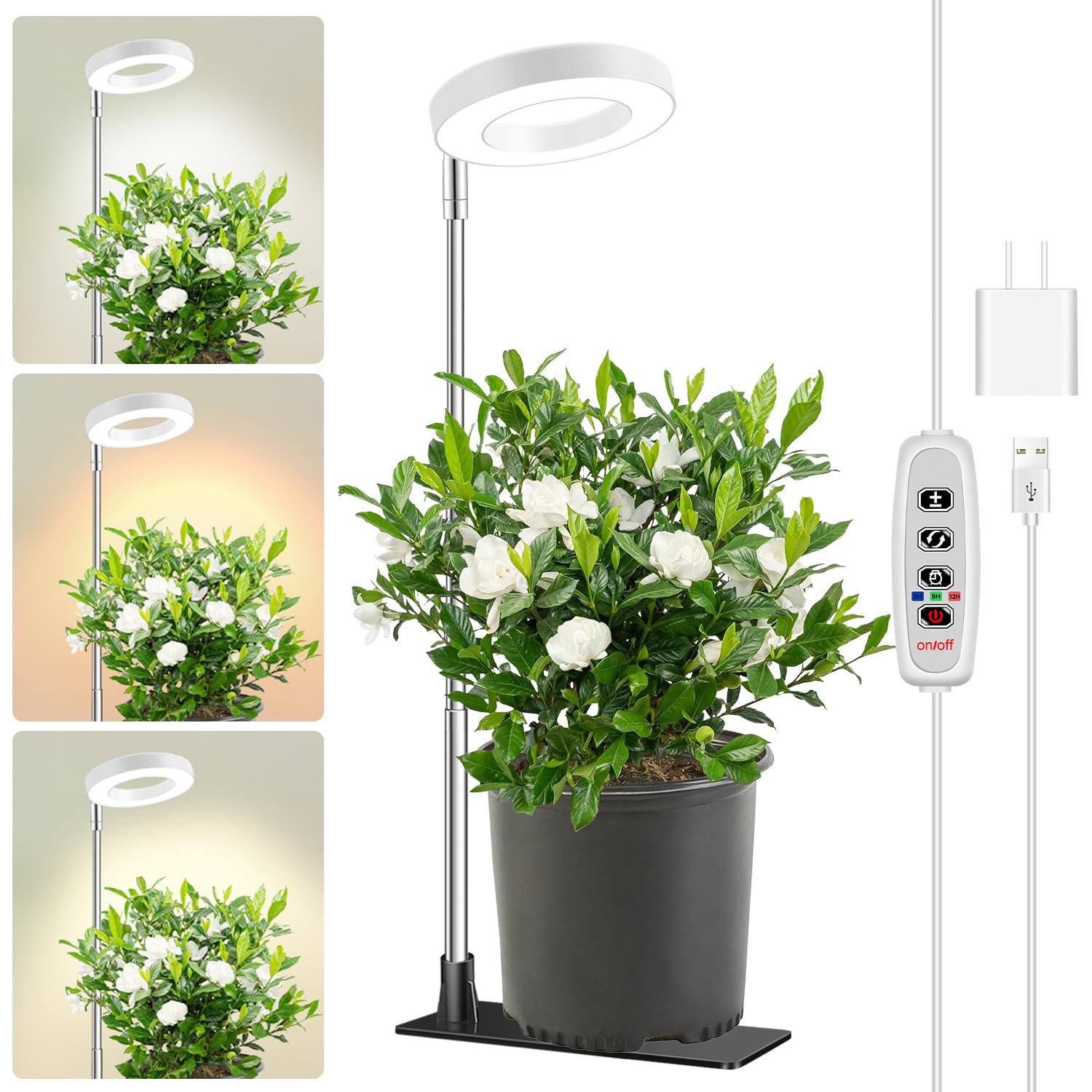 Aokrean grow light with stake setup offers stable placement for indoor plants.