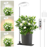 Aokrean grow light with stake setup offers stable placement for indoor plants.