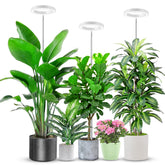 Aokrean halo grow light compact 6.3-inch design ideal for seedlings and small setups