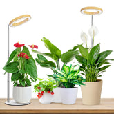 Aokrean plant grow light base provides stable desk support for indoor gardening.