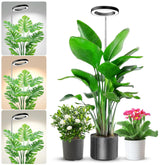 Aokrean Plant Grow Light with full spectrum aids seedling health and leafy greens.