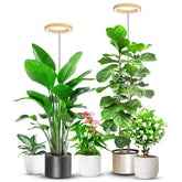 Aokrean wood-grain ring grow light provides stylish indoor lighting for healthy houseplants year-round.