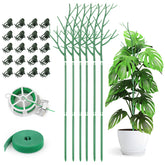 AOM 6-pack Twig plant stakes discreetly support Monstera in a pot.