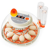Apdoe HatchPro 12 360° dome view for easy egg monitoring.