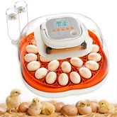 Apdoe HatchPro 25 interior space provides room for comfortable chick movement.
